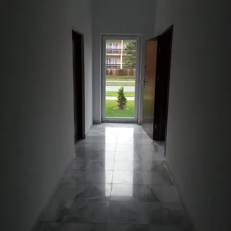 Iva Mare * ダルウフコ