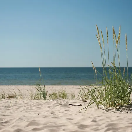 Iva Mare ダルウフコ